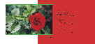 TARJETAS-T03PAF-04W
